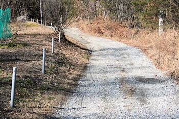 信玄棒道の画像