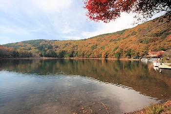 四尾連湖の画像