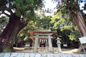 武田八幡宮の画像