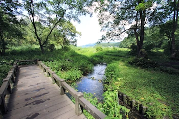 姫川源流湧水の風景