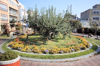 並木通りの風景