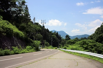 やまぶき街道の風景