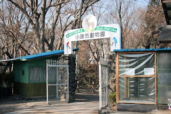小諸市動物園の風景