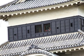 松本城天守望遠の風景