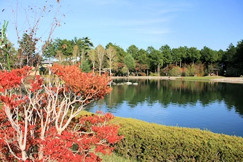 大柴高原の風景