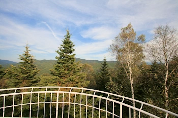 アルプス展望台の風景