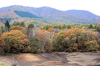 斑尾高原大池の風景