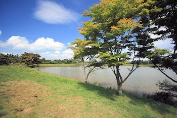 茶臼山湖の風景