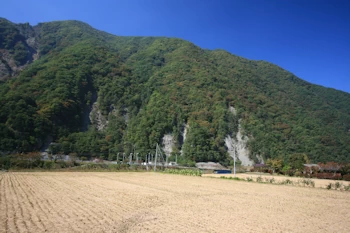 大西公園の風景