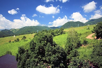 栂池高原の風景