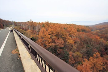 八ケ嶺橋の風景