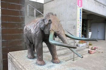野尻湖ナウマンゾウ博物館の風景