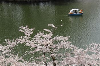 臥竜公園の風景