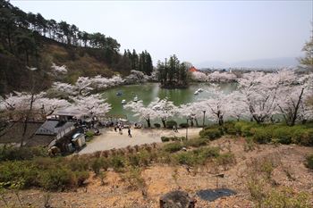 臥竜公園の風景