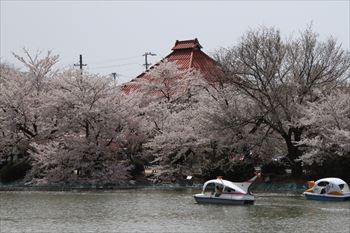 臥竜公園の風景