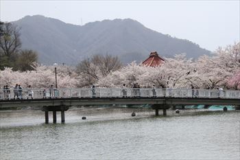 臥竜公園の風景