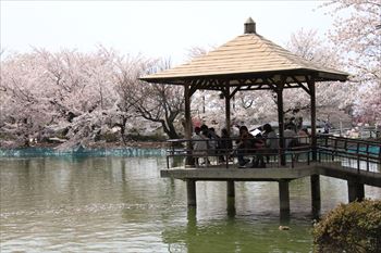 臥竜公園の風景
