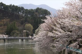 臥竜公園の風景