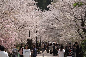 臥竜公園の風景
