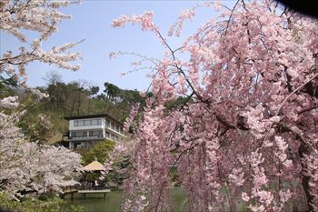 臥竜公園の風景