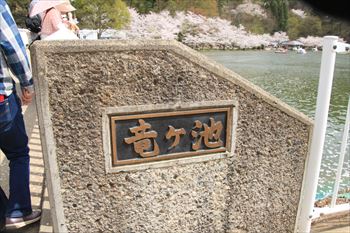 臥竜公園の風景