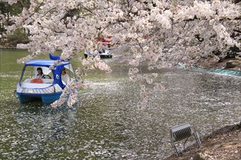 臥竜公園の風景