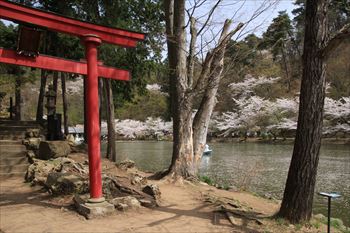 臥竜公園の風景