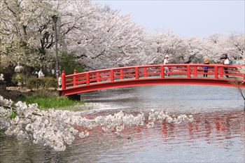 臥竜公園の風景