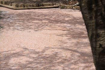 臥竜公園の風景