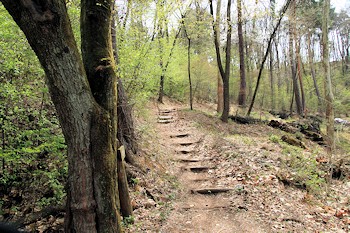 須田城跡の風景