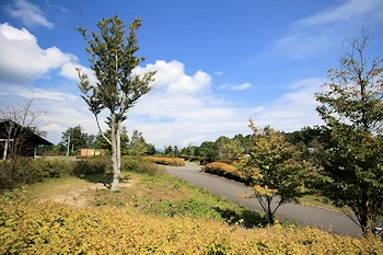 南信州広域公園の風景
