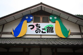 東白川村の風景