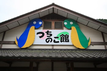 つちのこ館の風景