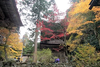 横蔵寺の風景