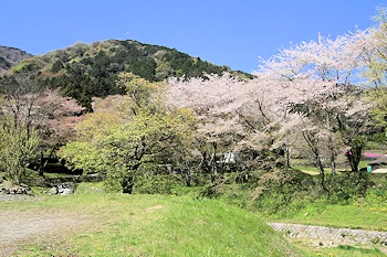 霞間ヶ渓の風景