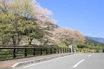 霞間ヶ渓の風景