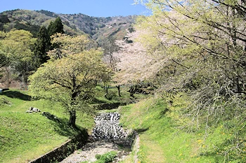 霞間ヶ渓の風景