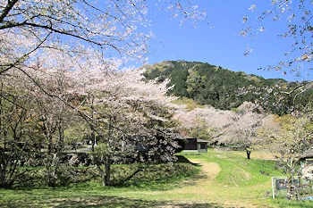 霞間ヶ渓の風景