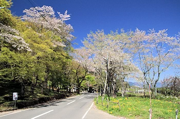 霞間ヶ渓の風景