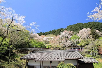 霞間ヶ渓の風景