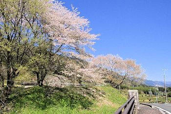 霞間ヶ渓の風景