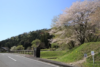 霞間ヶ渓の風景