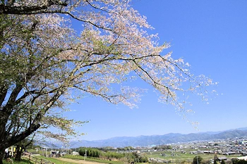 霞間ヶ渓の風景