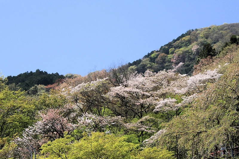霞間ヶ渓の風景