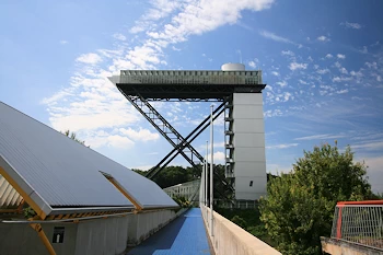 花フェスタ記念公園の風景