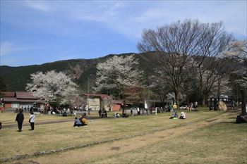 淡墨公園の風景