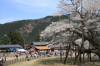淡墨公園の風景