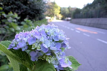 板取街道の風景