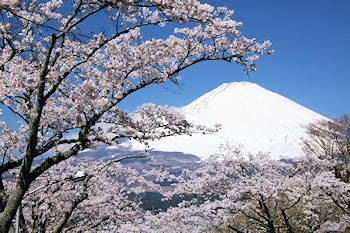 平和公園の風景
