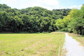 北条氏邸跡の風景